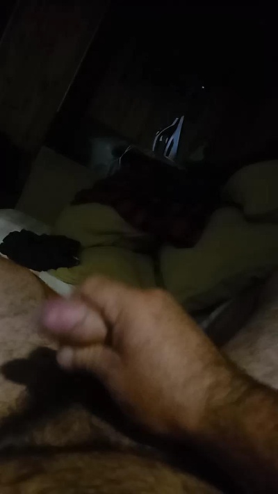 Alentejanot from Portugal