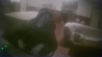 hispanicstud from United States