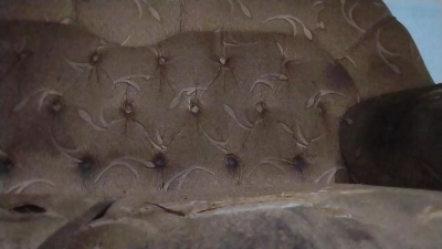 magrelorasta from Brazil